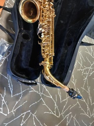 Saxo Alto Mib Completo