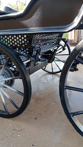Carro de caballos