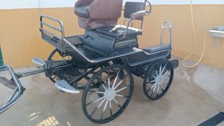 Carro de caballos