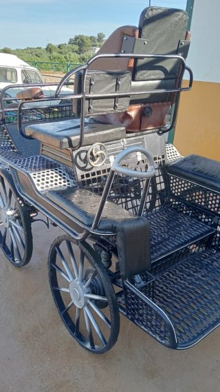 Carro de caballos