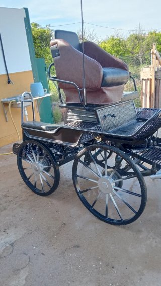 Carro de caballos