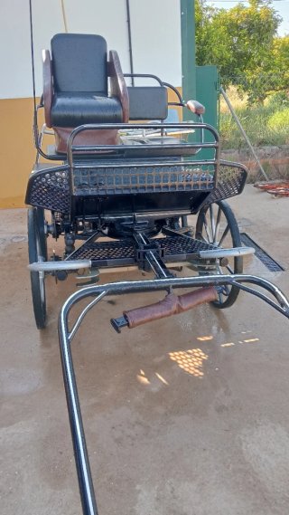 Carro de caballos