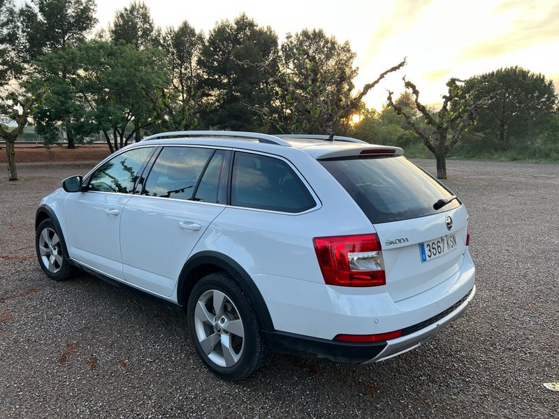 Skoda Octavia 4x4 150CV DSG Scout 2018 - foto 1