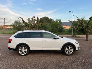 Skoda Octavia 4x4 150CV DSG Scout 2018