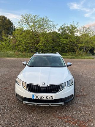 Skoda Octavia 4x4 150CV DSG Scout 2018