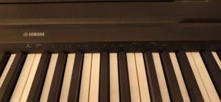 TECLADO DIGITAL YAMAHA P-35B 88 TECLAS