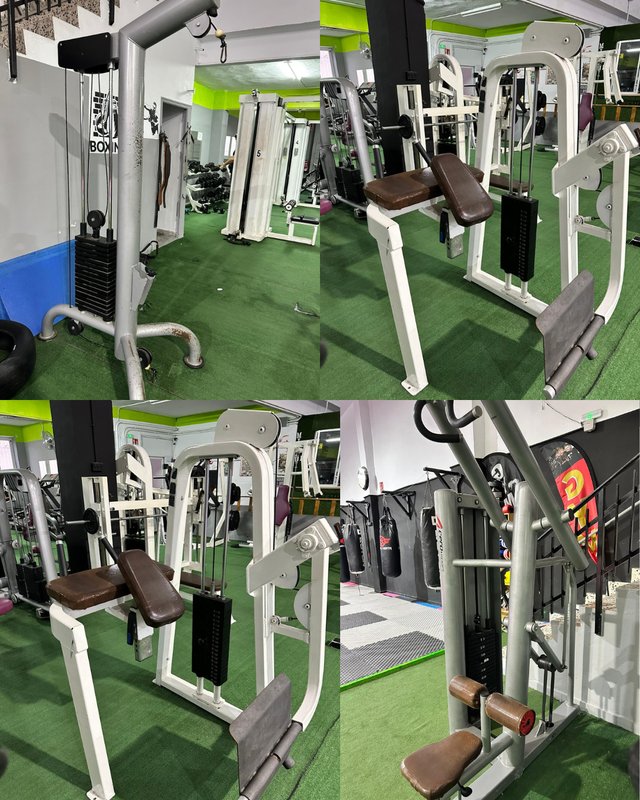 Lote Completo Maquinaria de Gimnasio Profesional