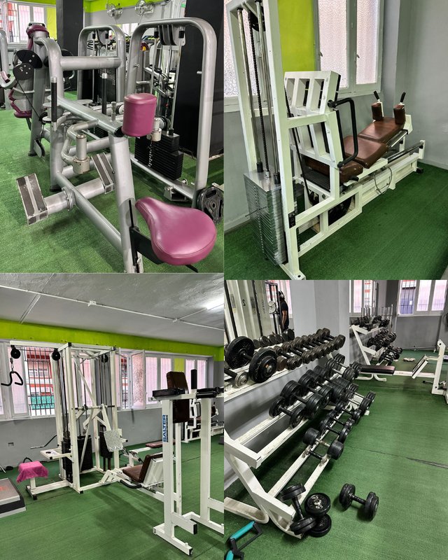Lote Completo Maquinaria de Gimnasio Profesional