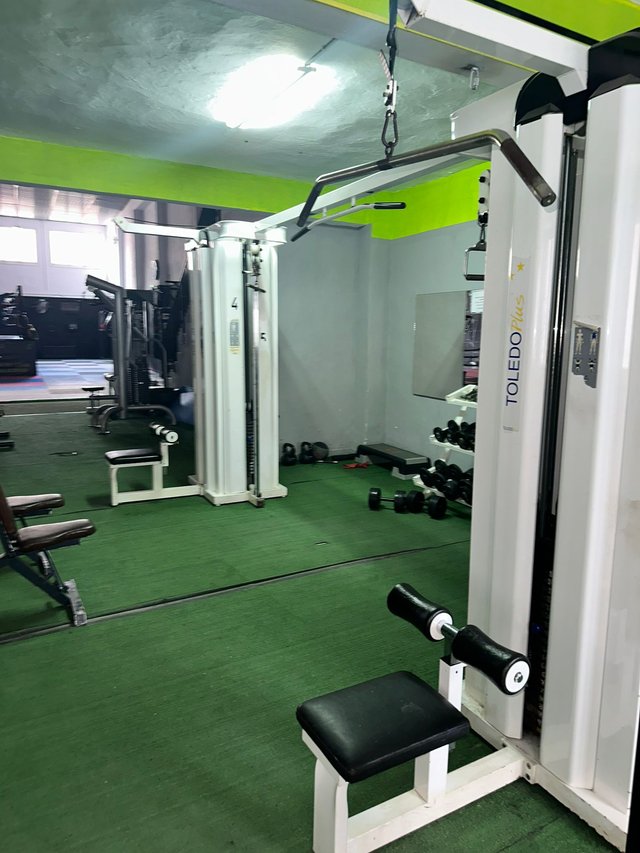 Lote Completo Maquinaria de Gimnasio Profesional