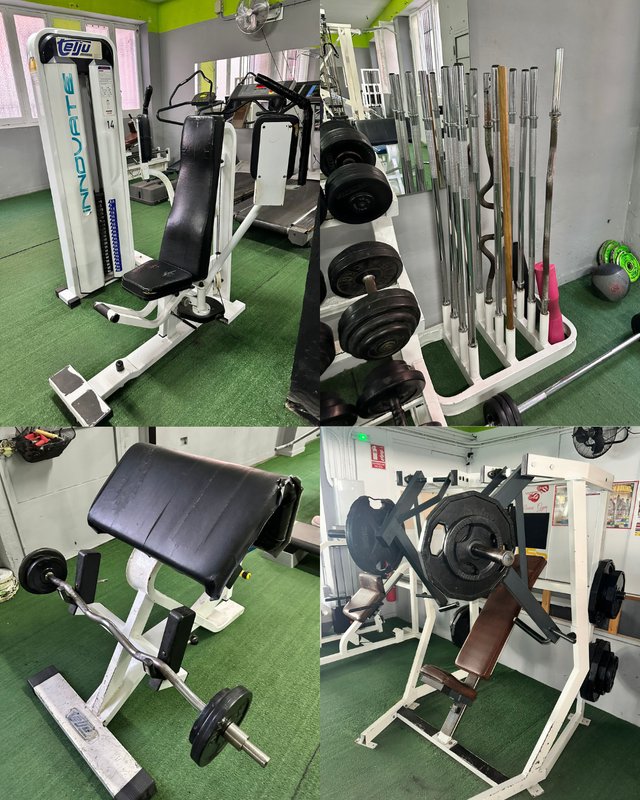 Lote Completo Maquinaria de Gimnasio Profesional