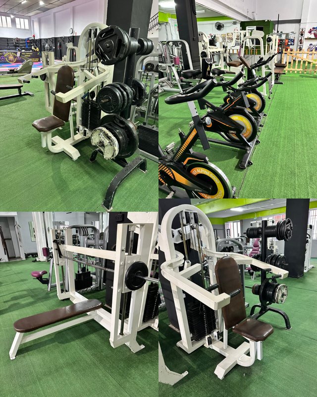 Lote Completo Maquinaria de Gimnasio Profesional