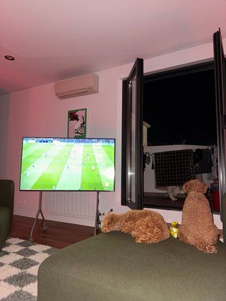 TV 55 con Pedestal