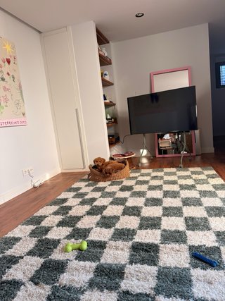 TV 55 con Pedestal