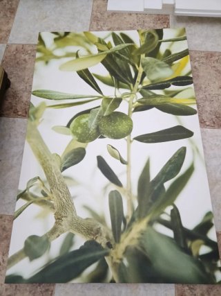 Cuadro Olivo 78x118cm