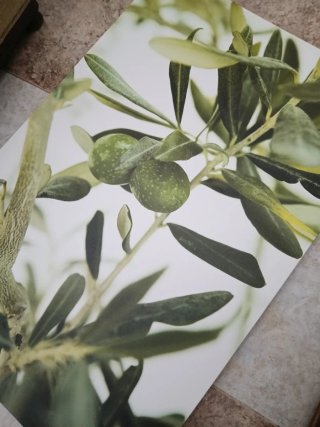 Cuadro Olivo 78x118cm