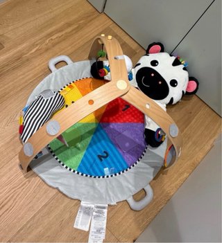 Gimnasio Bebé Baby Einstein