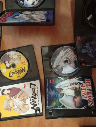 Lote 7 DVDs Anime: Yu Yu Hakusho, Melty Lancer, et