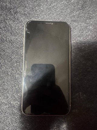 iPhone 11 Multicolor