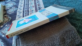 Il Sutra del Loto capitoli Hoben e Juryo