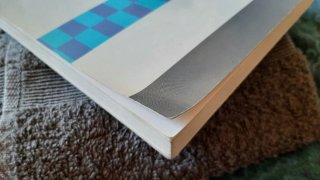 Il Sutra del Loto capitoli Hoben e Juryo