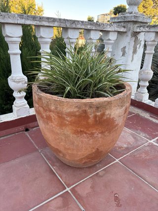 Tiestos terracota grandes