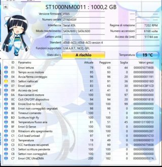 2 Hard Disk 1TB Seagate + WD SATA 3.5