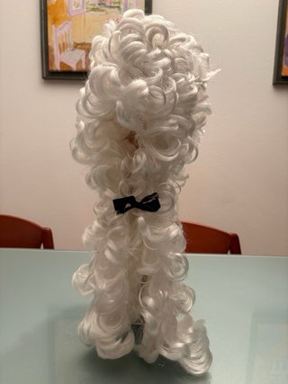 Peluca blanca juez/rockero