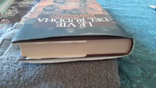 Le vie del Buddha. Vita, Pensiero, Insegnamenti