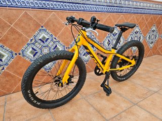 Bicicleta Montaña Scott Scale 20" disc