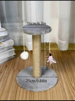 Small Cat Scratching Board
