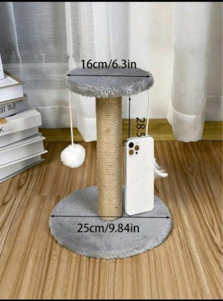 Small Cat Scratching Board
