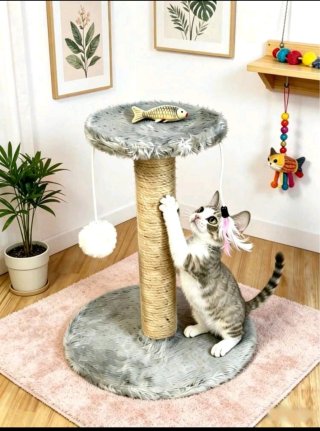 Small Cat Scratching Board