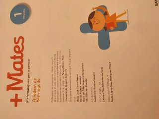 Libro mates primero de primaria para repasar