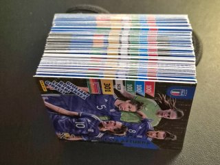Lotto 107 Carte Panini Azzurri 2024 Adrenalyn XL