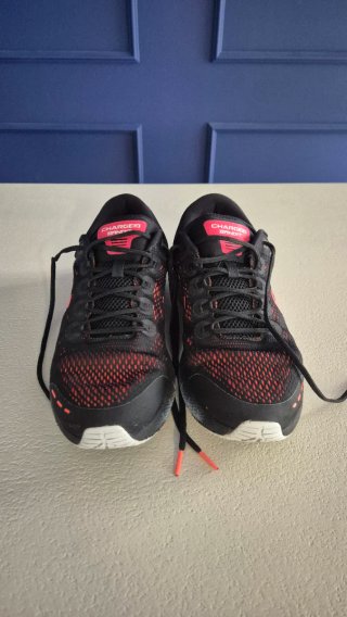 Zapatillas Under Armour Charged Bandit 44