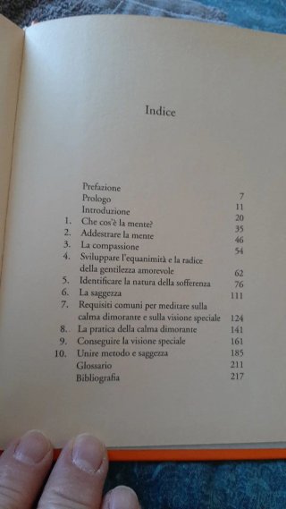 I sei stadi della meditazione del Dalai Lama