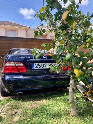 SE ALQUILA MERCEDES CLK CABRIO ✨