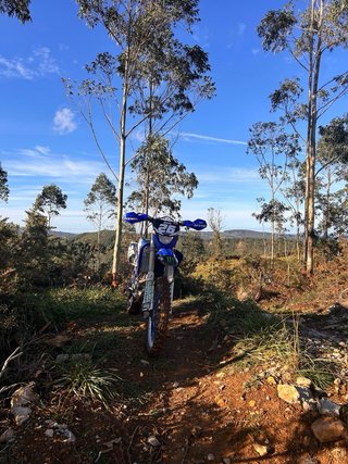 Yamaha WRF 250