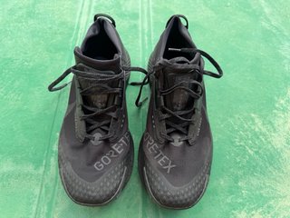 Nike Pegasus Trail Goretex 46