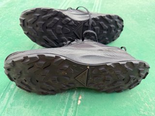 Nike Pegasus Trail Goretex 46