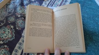 Felicità in questo mondo un percorso alla scope...