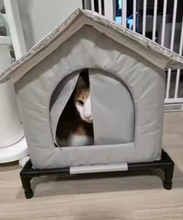 Casetta per gatto ben isolata