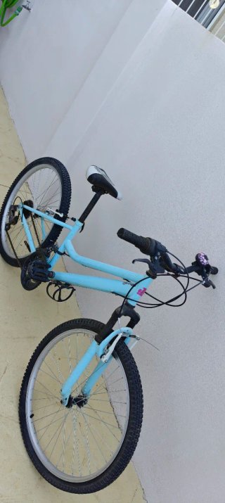 Bicicleta Montaña Juvenil JL Wenti 24
