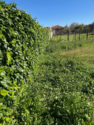 Mantenimientode parcelas y jardineria