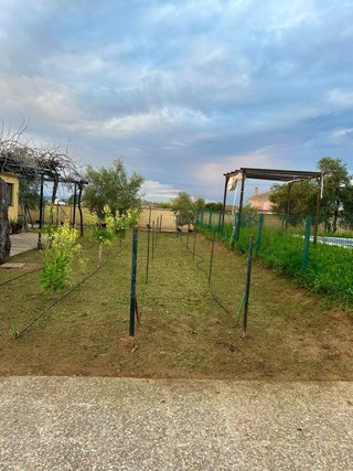 Mantenimientode parcelas y jardineria