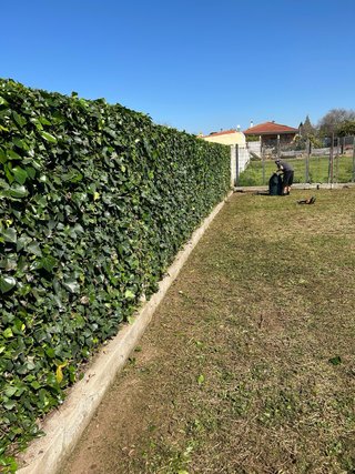 Mantenimientode parcelas y jardineria
