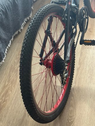 BICI + 6 ACCESORIOS