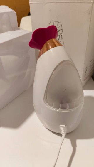 Vaporizador Facial Blanco