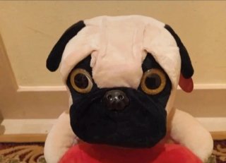Peluche perro Carlino Pug Corazón "LOVE" (Nuevo!)