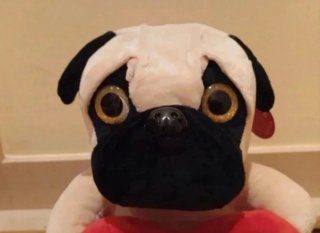 Peluche perro Carlino Pug Corazón "LOVE" (Nuevo!)